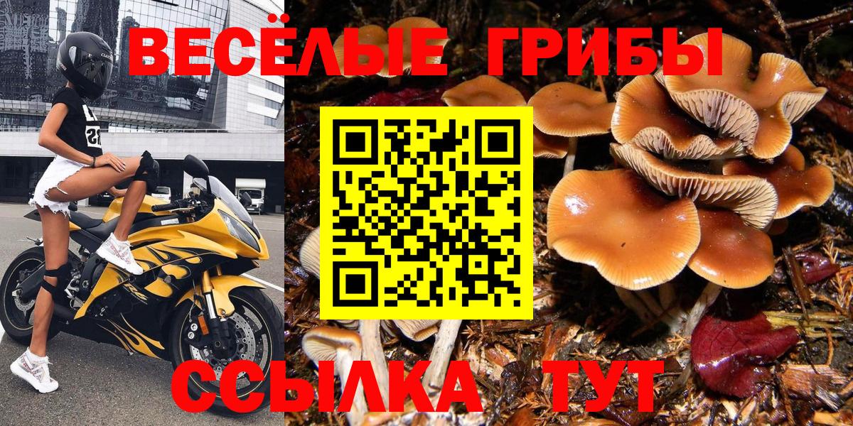 Галлюциногенные грибы ЛСД  Вход с VPN  купить   Ишимбай 